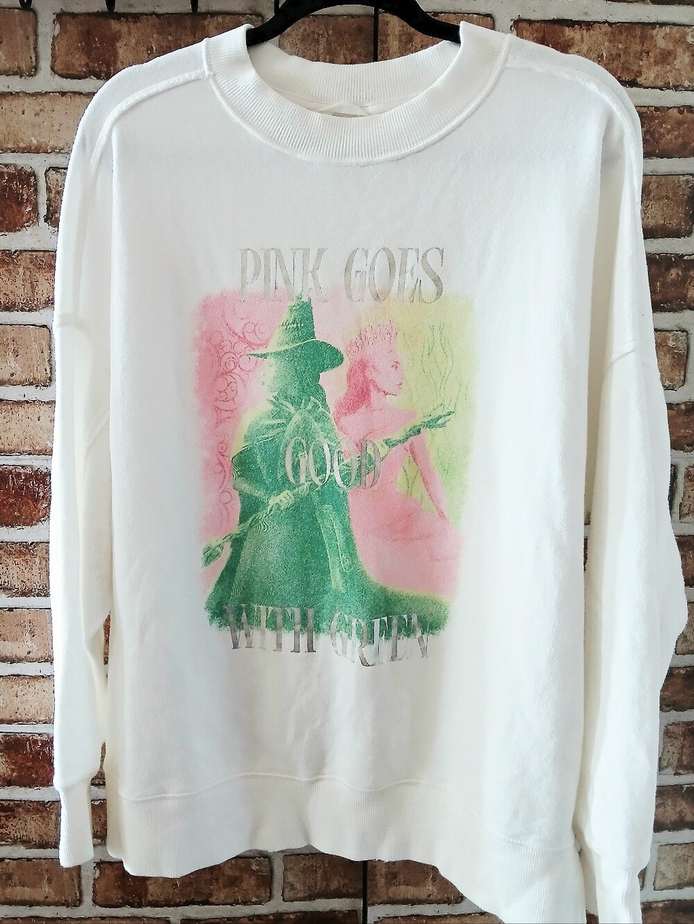 AERIE x WICKED “Pink Goes Good With Green” OVERSIZED Graphic SWEATSHIRT Size S M - Picture 2 of 7